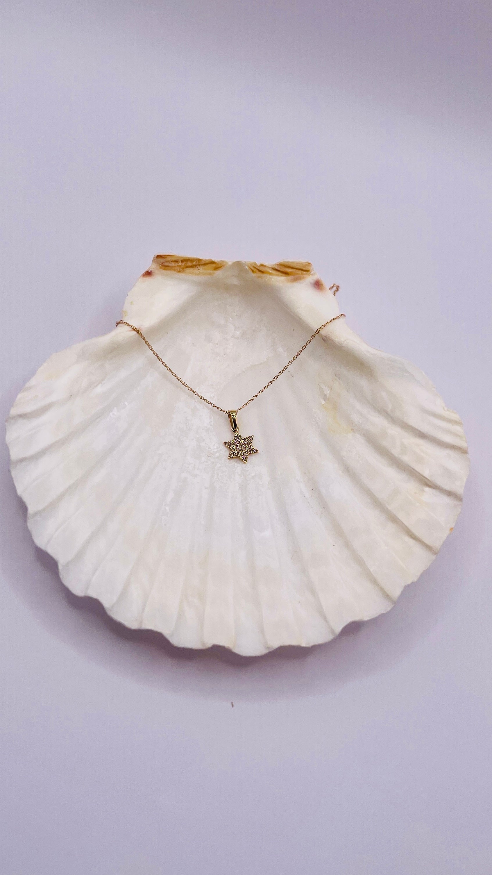 IRIS PAVE STAR DIAMOND NECKLACE
